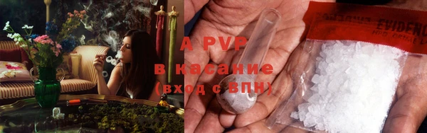 ECSTASY Новодвинск