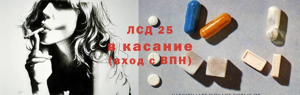 индика Нея
