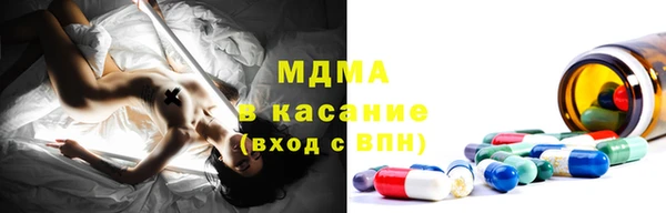 индика Нея
