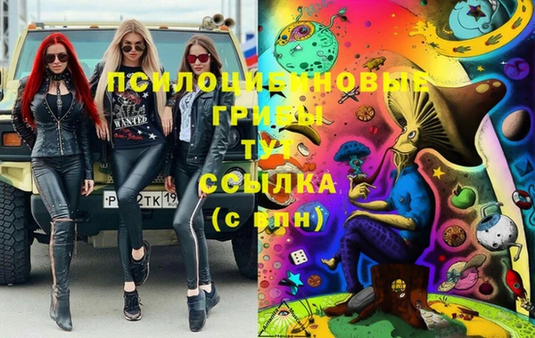шишки Нефтегорск