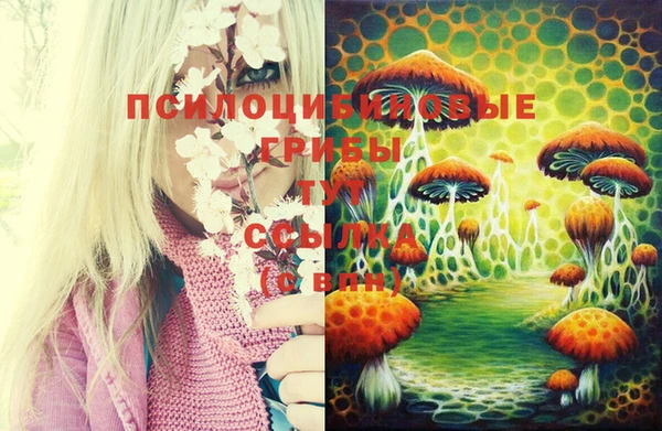 ECSTASY Новодвинск