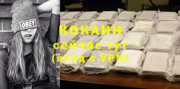 индика Нижневартовск