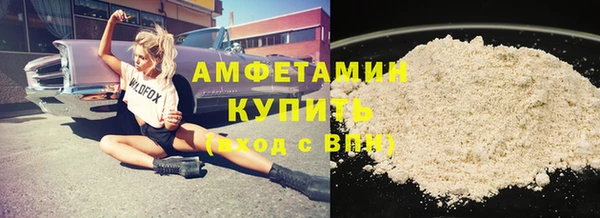 индика Нея