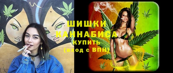 шишки Нефтегорск
