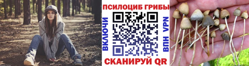 блэк спрут зеркало  Новомосковск  Галлюциногенные грибы Magic Shrooms 