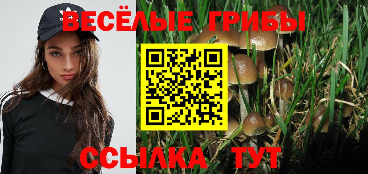 Галлюциногенные грибы GOLDEN TEACHER Новомосковск