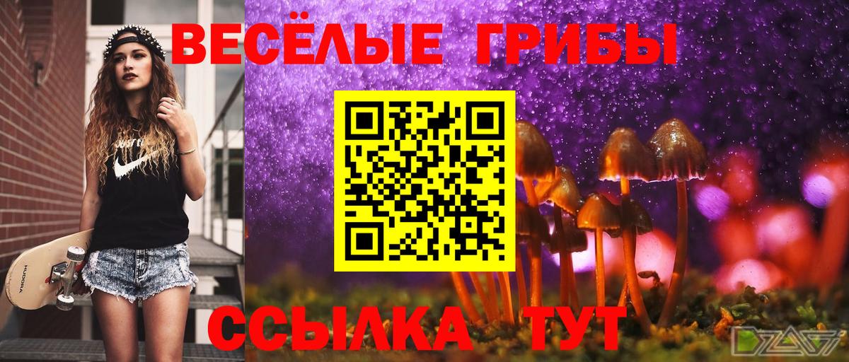 купить наркотики сайты  Вход с VPN  Галлюциногенные грибы Psilocybine cubensis  Новомосковск  Псилоцибиновые грибы мицелий 