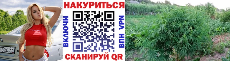Канабис марихуана  ОМГ ОМГ ТОР  Новомосковск 